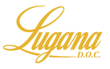 Lugana Festival