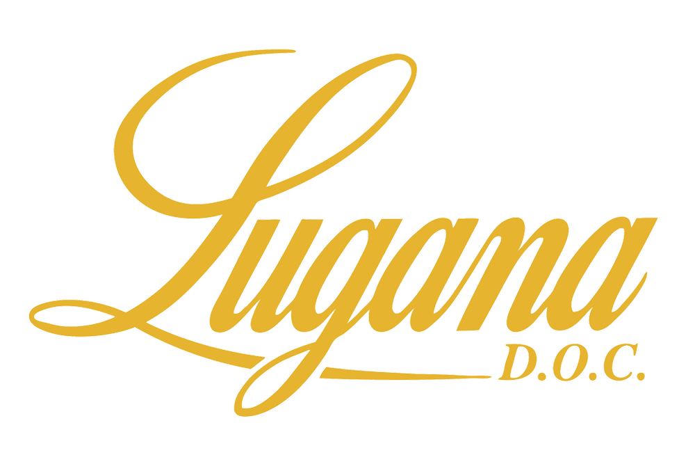 Image link